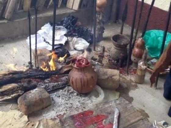 Traditional healer [[+27818744558]](Kwaggafontein)(Witbank)Bring Back lost love Spells-IN-Polokwane,Turfloop, Loius Trichardt Seshego,Bethlehem, Boksburg, Brakpan, Lebowakgomo, Tzaneen, Mankweng, Mokopane, Vereeniging,Ekurhuleni, Jeffreys Bay, Richards Bay, Krugersdorp, Kempton Park