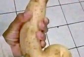 Penis enlargement call +27 71 009 6483