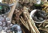 POWERFUL TRADITIONAL HEALER (({+2760°-680°-4550})) ⓶  SANGOMA IN POLOKWANE, LEBOWAKGOMO, MANKWENG, MOKOPANE, TURFLOOP, SESHEGO, THOHOYANDOU, JANE FURSE, GIYANI, BURGERSFORT, TZANEEN, MUSINA, LEPHALALE, PHALABORWA, LIMPOPO