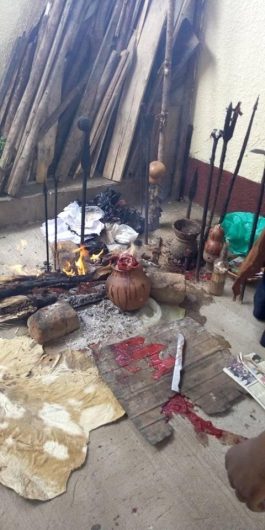 IN-Bloemfontein-SOLVE FINANCIAL PROBLEMS$$ ©]]]][[[+27•72•30•39•124[[[[©$$ MAMA-PINTO-TRADITIONAL HEALER-SANGOMA In Bloemfontein, Welkom, Hennenman, Heilbron, Deneysville, Kroonstad, Sasolburg, Senekal, Phuthaditjhaba, Bethlehem, Frankfort, Reitz, Theunissen, Oklahoma, Hertzogville, Ventersburg, Sunnyvale, Ladybrand, Brandfort, Koffiefontein, Koppies, Wepener, Villiers, Phuthaditjhaba, Harrismith, Kutlwanong, Heilbron, Botshabelo, Allanridge, Bulfontein, Clocolan, Zastron, Addo, Hoopstad, Wepener, Hoopstad, Wesselsbron.