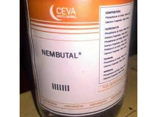 Nembutal Pentobarbital for sale in all forms +27 81 850 2816 Pietermaritzburg, Durban