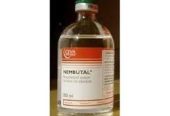 Nembutal Pentobarbital for sale in all forms +27 81 850 2816 Pietermaritzburg, Durban