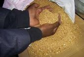 Gold Dust, Gold Nuggets & Rough Diamond in stock +27 73 799 4524 Gqeberha Bisho East London Qonce