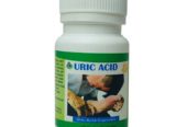 Uric Acid Support For Muscle Discomfort In Chitre City in Panama And East London In Eastern Cape Call ☏ +27710732372 Buy Uric Acid For Muscle Pains In Gqeberha City In South Africa And Thumrait Town in Oman