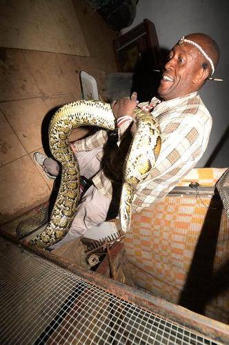 Mamlambo snake for money and wealthy 📞+27788804343 Money Spells in Limpopo – Herbalist