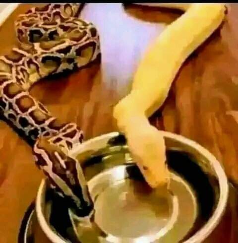 Unlock millions opportunities UK South Africa usa Australia Sydney – Hire Top best Powerful Money Spell Caster Mamlambo – Snake 📞+27788804343